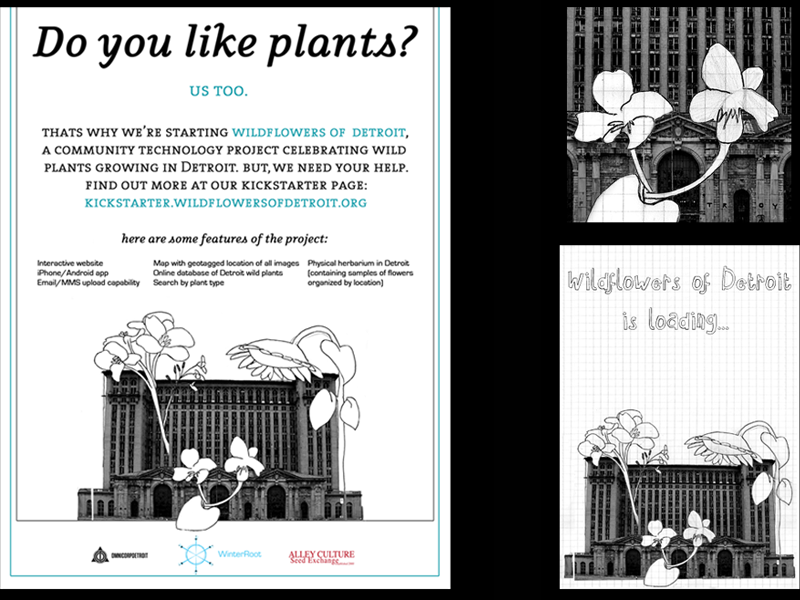 Wildflowers of Detroit Kickstarter